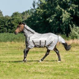 Outdoor-Fliegendecke Superb AB, grau (anthrazite)