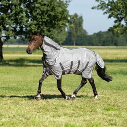 Outdoor-Fliegendecke Superb AB, grau (anthrazite)