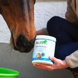 Stiefel Biotin Plus Pellet