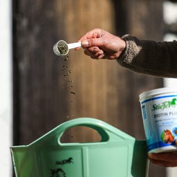 Stiefel Biotin Plus Pellet