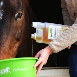 Stiefel Olje riževih kalčkov - 1 l