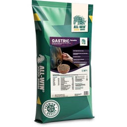 ALL-WIN Horse Gastric Sensitiv - 20 kg