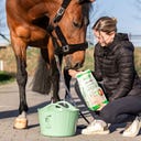 Stiefel Flohsamen, Schalen