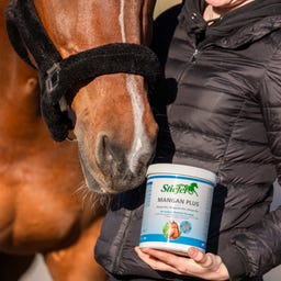 Stiefel Manganèse Plus