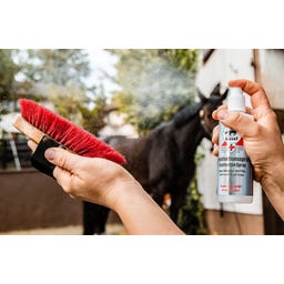 leovet Disinfection Spray - 200 ml