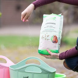 Stiefel Semi di Psillio, Bucce