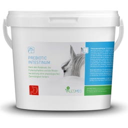 Valetumed Prebiotic Intestinum - 2.500 g