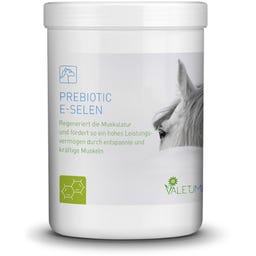 Valetumed Prebiotic E-Selen - 750 g