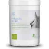 Valetumed Prebiotic Amino