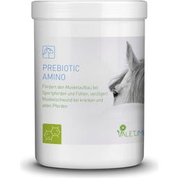 Valetumed Prebiotic Amino - 750 g