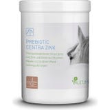 Valetumed Prebiotic Centra Zink