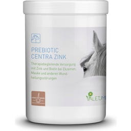 Valetumed Prebiotic Centra Zink - 750 g