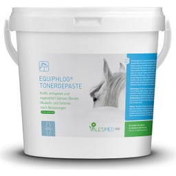 Valetumed EQUIPHLOG® Tonerdepaste - 3,50 kg