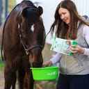 Stiefel Anis, Hela Frön