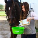 Stiefel Arthro Liquid