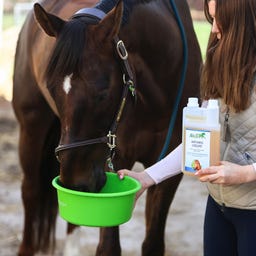 Stiefel Arthro Liquid