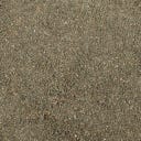 Valetumed Prebiotic Amino