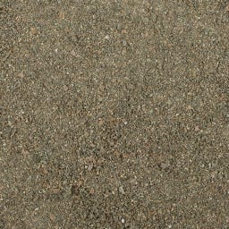 Valetumed Prebiotic Amino