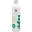 Carr & Day & Martin Medicated Shampoo Gallop - 500 ml