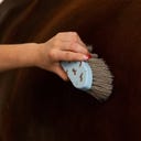 QHP Bürstenset Stable buddy, Dachshund - 1 Stück