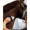 QHP Bürstenset Stable buddy, Dachshund - 1 Stück