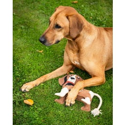 QHP Hundespielzeug 'Stable buddy', Beagle - 1 Stück