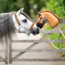 QHP Halfter-Set 'Stable buddy', Dachshund - Pony