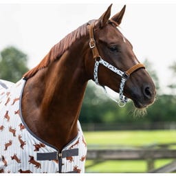 QHP Halfter-Set 'Stable buddy', Dachshund - Pony
