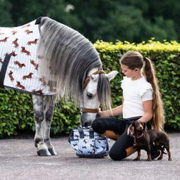 QHP Putztasche 'Stable buddy', Dachshund - 1 Stück