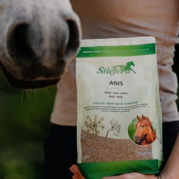 Stiefel Anise, Whole Seeds