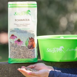 Stiefel Echinacea, Chopped