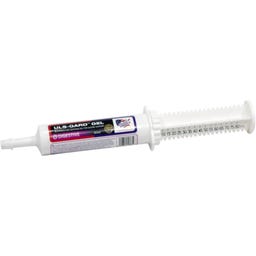 Equine America ULS-Gard Gel, Maulspritze 2 x 40 ml