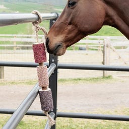 Kentucky Horsewear Holz-Relax Pferdespielzeug Unicorn Joy - 1 Stück