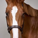 Kentucky Horsewear Halfter Fancy, braun - COB