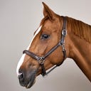 Kentucky Horsewear Halfter Fancy, braun - COB