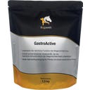 Equanis GastroActive - 1,50 kg