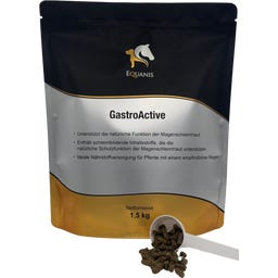 Equanis GastroActive - 1,50 kg