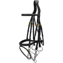 Kandare mit kombiniertem Reithalfter DY, schwarz - COB