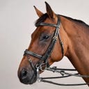 Kandare mit kombiniertem Reithalfter DY, schwarz - COB