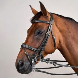Kandare mit kombiniertem Reithalfter DY, schwarz - COB