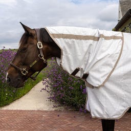 Kentucky Horsewear Ekzemerdecke & Sommerdecke Comfort, weiß