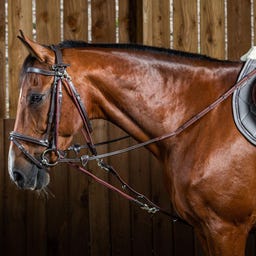 Dy'on Gogue mit Nylonseil, braun - COB