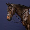 Dy'on Gogue mit Nylonseil, braun - COB