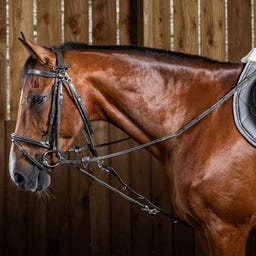 Dy'on Gogue mit Nylonseil, schwarz - COB