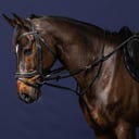 Dy'on Howlett Schlaufzügel, schwarz - COB