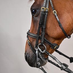 Kandare mit kombiniertem Reithalfter DY, schwarz - COB