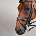 Kandare mit kombiniertem Reithalfter DY, schwarz - COB