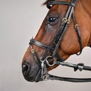 Kandare mit kombiniertem Reithalfter DY, schwarz - COB