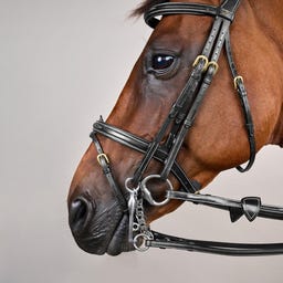 Kandare mit kombiniertem Reithalfter DY, schwarz - COB