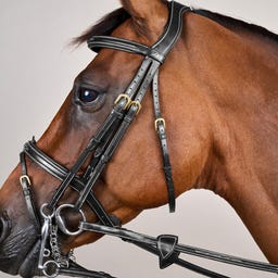 Kandare mit kombiniertem Reithalfter DY, schwarz - COB